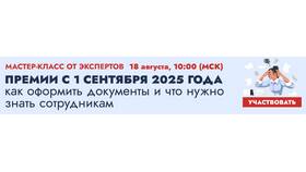 Чем отличаются стимулирующие выплаты от компенсационных в ТВОЕ