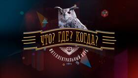 Что? Где? Когда? 13 сектор: как отправить вопрос в ТВОЕ