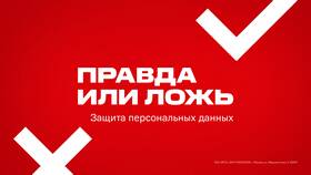 Как часто обновляются данные в МТС в ТВОЕ