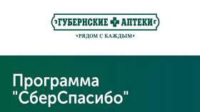 Как использовать бонусы СберСпасибо в ТВОЕ