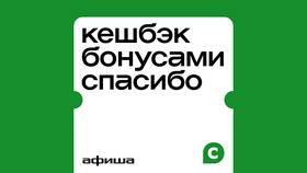 Как обналичить бонусы СберСпасибо от Сбербанка в ТВОЕ
