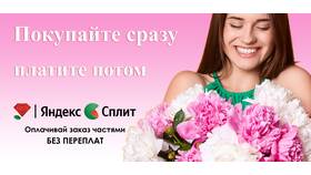 Как оплачивать картой Сплит от Яндекс в ТВОЕ
