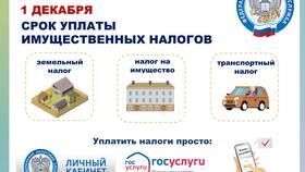 Как оплатить налоги через личный кабинет налогоплательщика в ТВОЕ