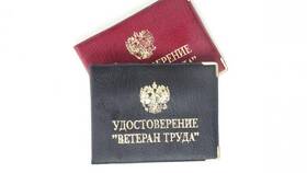 Как получить удостоверение ветерана труда через Госуслуги в ТВОЕ