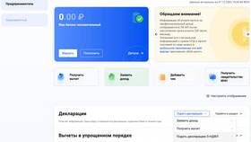 Как выглядит налоговая декларация 3-НДФЛ в ТВОЕ