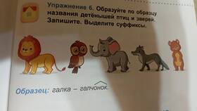 Названия детенышей птицы додо