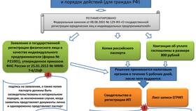 Оформляем ИП: с чего начать в ТВОЕ