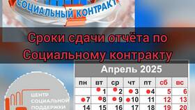 Почему исчезли новые выплаты из ЕГИССО: причины и решения в ТВОЕ