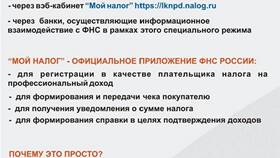 Причины задержки единовременных выплат в ТВОЕ