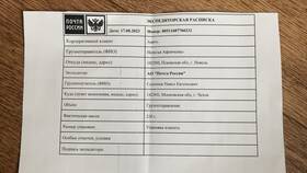 В чем отправлять Авито доставку почтой в ТВОЕ